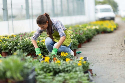 Gardener working on a Northolt front garden tidy