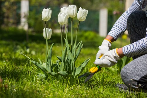 Team of Gardening Northolt professionals at work