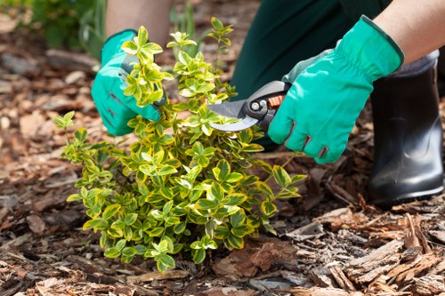 Trainer demonstrating equipment use to gardening staff