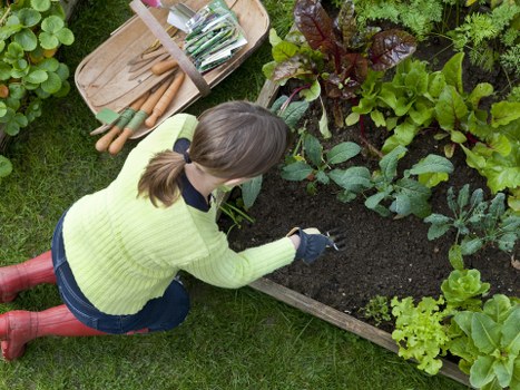 Innovative garden design by Gardening Northolt